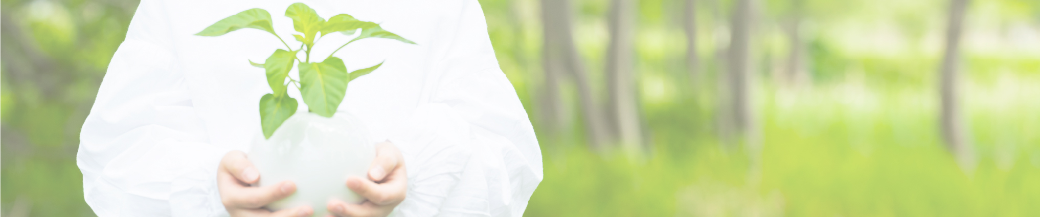 北海道におけるGX推進について